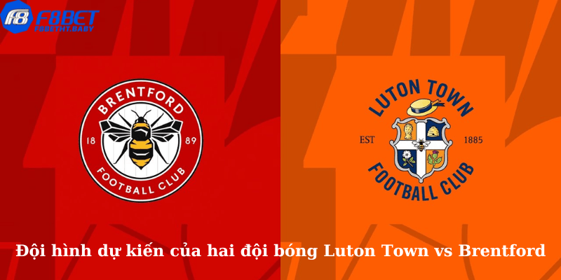 Đội hình dự kiến của hai đội bóng Luton Town vs Brentford