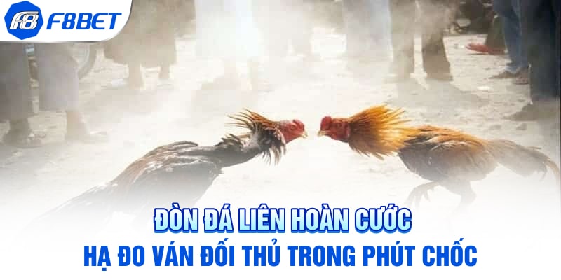 Đòn Đá Liên Hoàn Cước - Hạ Đo Ván Đối Thủ Trong Phút Chốc