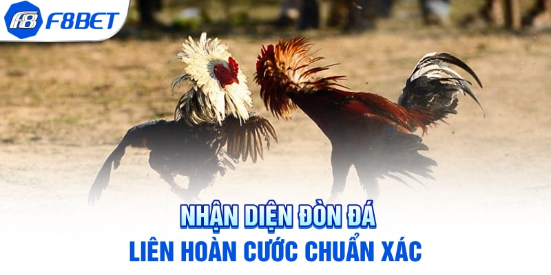 Nhận diện đòn đá liên hoàn cước chuẩn xác