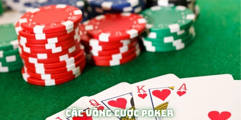 Chi tiết các vòng cược khi tham gia tại F8BET